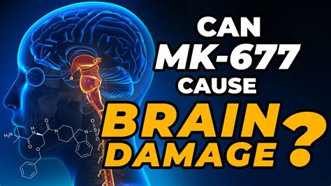 mk-677 brain damage